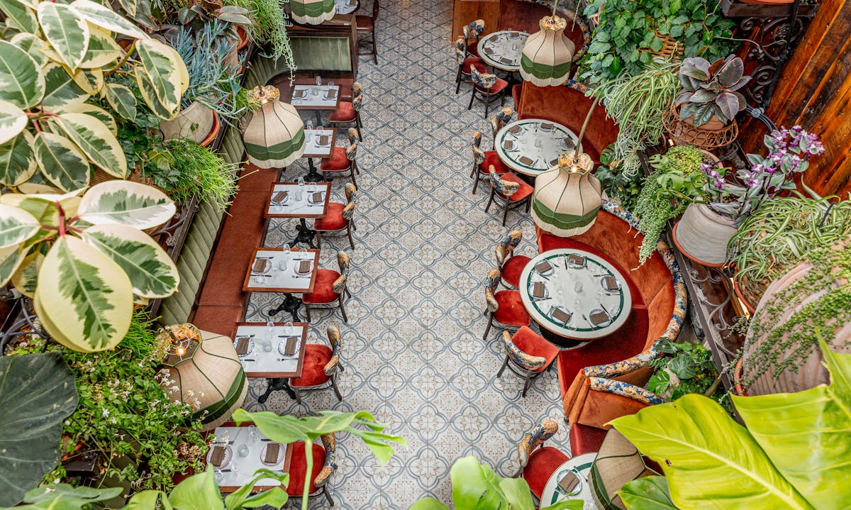 Dalia restaurant furniture and interior details